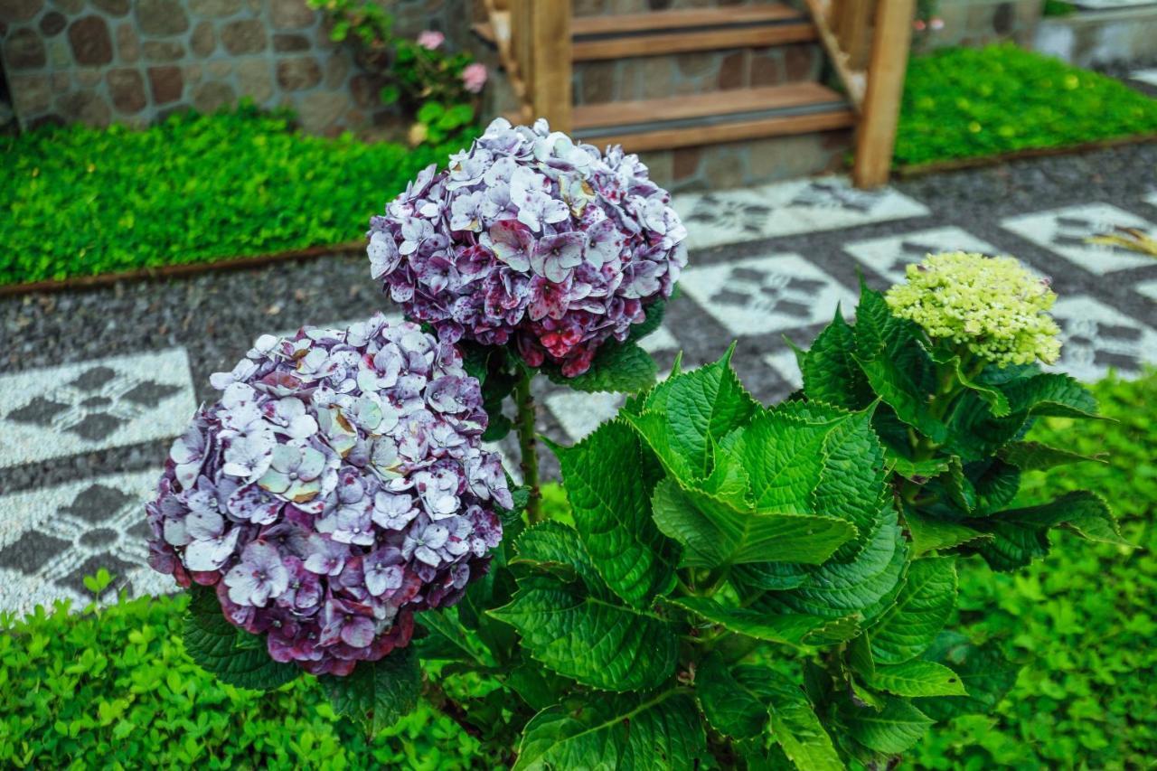 The Polumb Garden Bedugul Hotel Tabanan  Ngoại thất bức ảnh